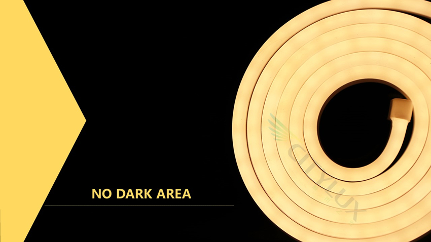 NO DARK AREA Neon Strip Light