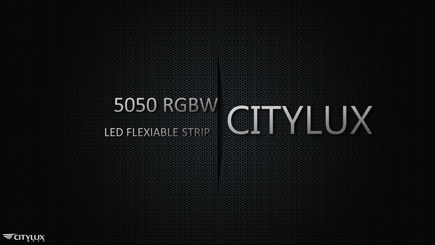 High quity 5050 RGBW LED Flex Strip High quity 5050 RGBW LED Flex Strip