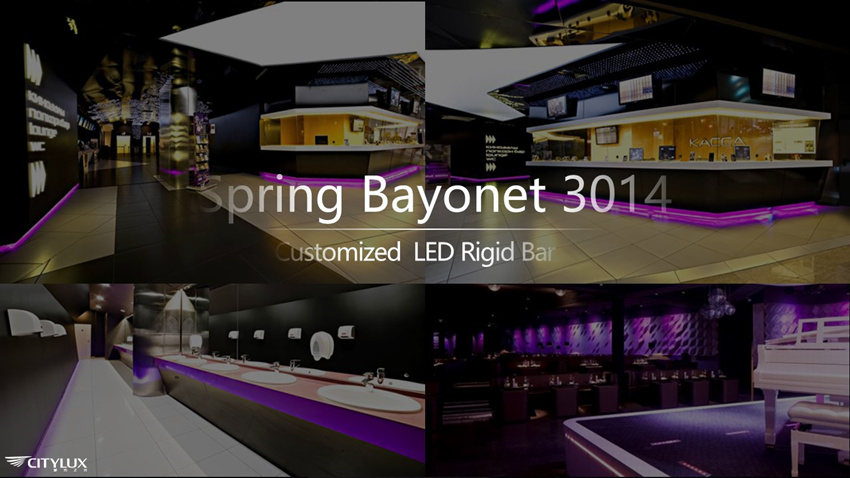 Customized Spring Bayonet 4014 LED Rigid Bar