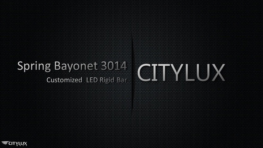 Customized Spring Bayonet 4014 LED Rigid Bar Customized Spring Bayonet 4014 LED Rigid Bar