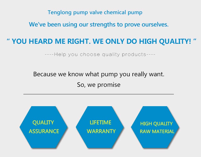 TMF Fluorine plastic magnetic pump