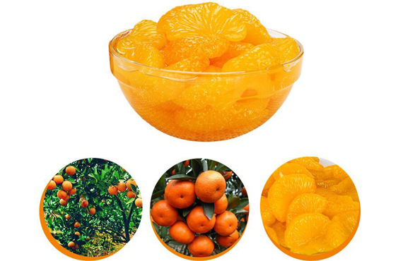 Canned apricots