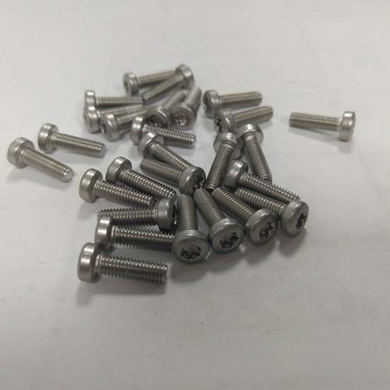 torx pan head screws picture