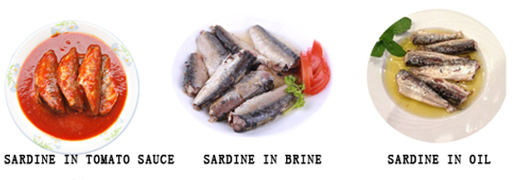 Canned mackerel