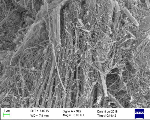 silica nanowires