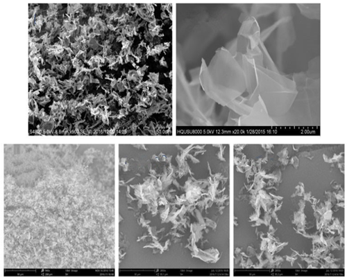 Single layer graphene powder Single layer graphene powder