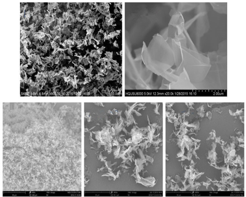 Single layer graphene powder