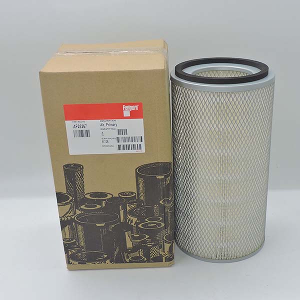 Air Filter AF25267