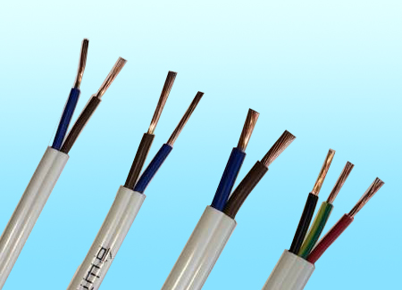 Flat cable Flat cable