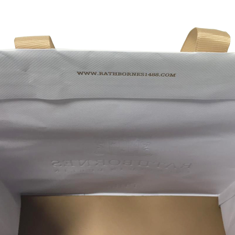 Ribbon Handle Custom Luxury Paper Bags