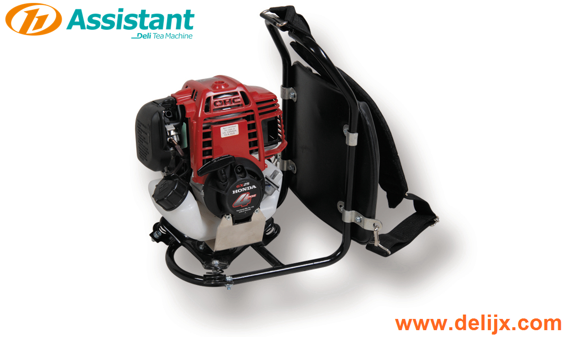 Backpack Type 2 Stroke Srilanka Tea Leaf Harvester Plucking Machine 4C-S Backpack Type 2 Stroke Srilanka Tea Leaf Harvester Plucking Machine 4C-S