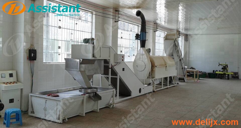 Wood Coal Heating Continuous Green Tea Leaves Fixation Processing Machine 6CSTL-CM60