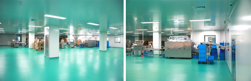 Cleanroom Ceiling Panels