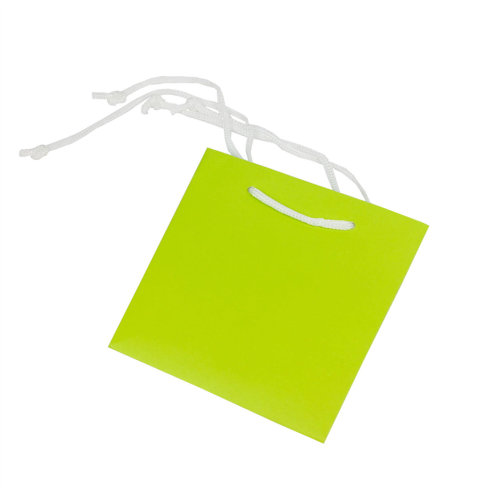 Luxury Paper Carrying Bags Luxury Paper Carrying Bags