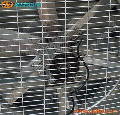 Fresh Tea Leaves Withering Process Wilting Machine 6CWD-500 Fresh Tea Leaves Withering Process Wilting Machine 6CWD-500