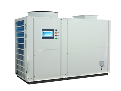 Desiccant heat pump dryer