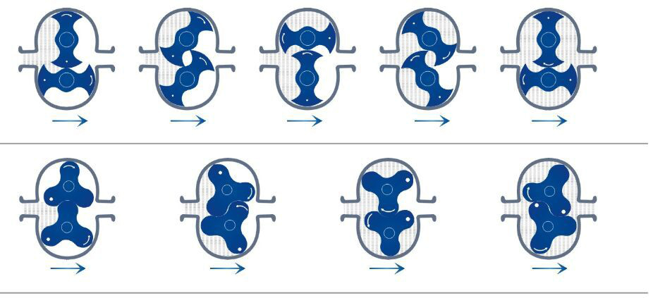 Bonve rotary lobe pump