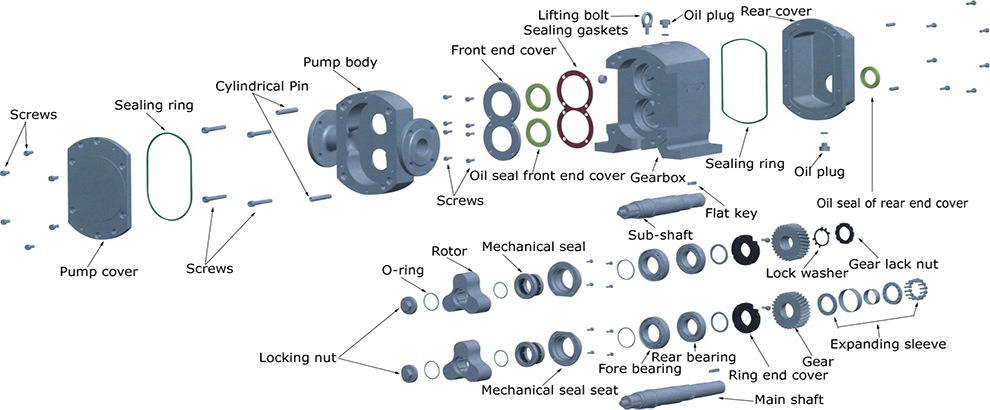 Bonve sanitary bare shaft lobe pump