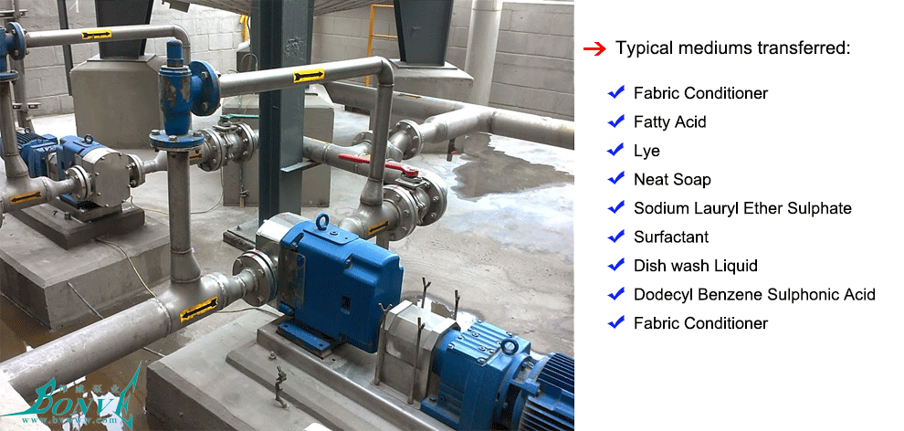 Positive displacement rotary lobe pumps