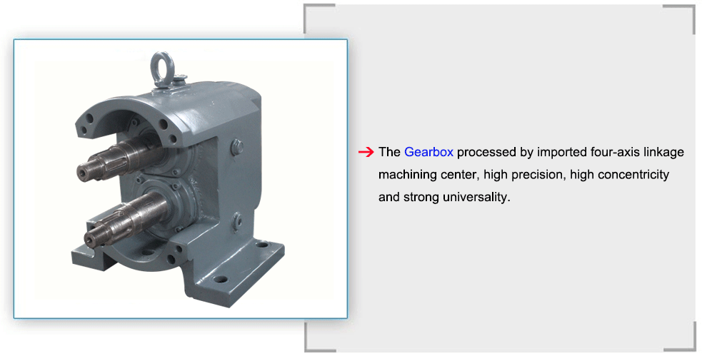 Bonve rotary lobe pump