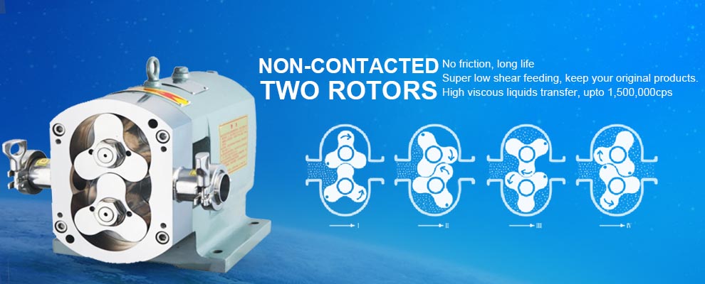 Positive displacement rotary lobe pump