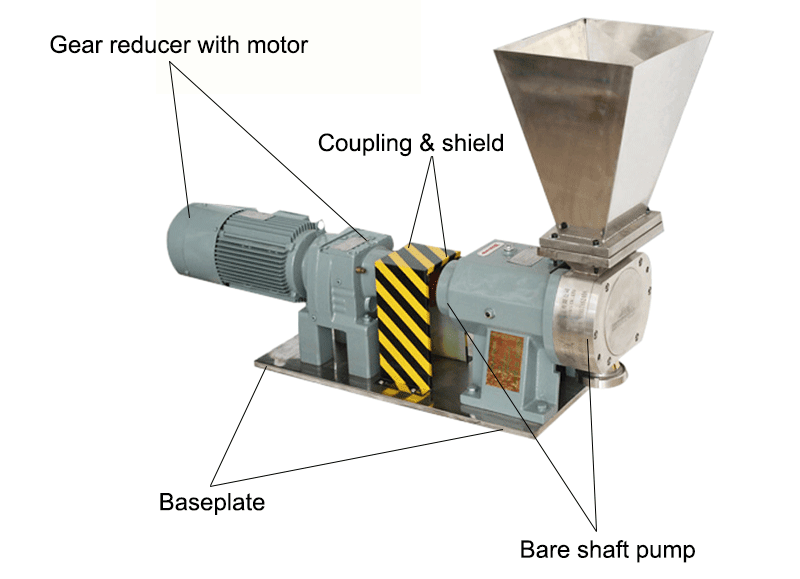 Bonve rotary lobe pump