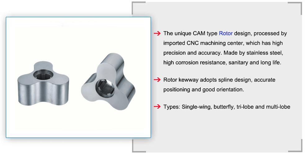 Bonve rotary lobe pump