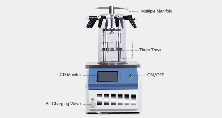 Newest Laboratory Mini Lyophilization Machine