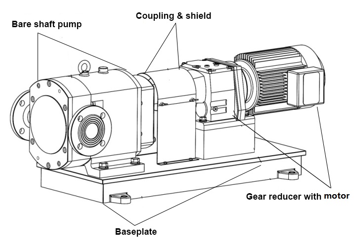 Bonve Lobe pump