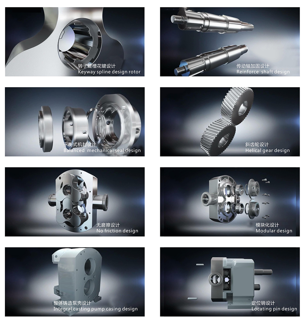 Positive displacement rotary lobe pump