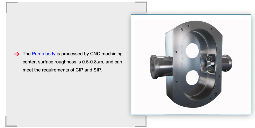 Bonve rotary lobe pump