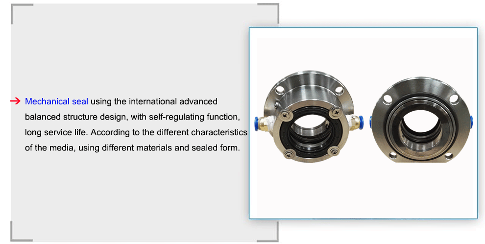 Bonve rotary lobe pump