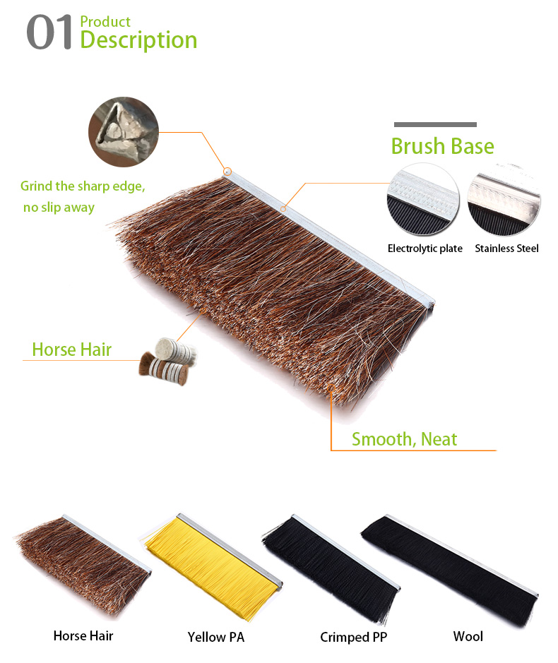 horse hair strip brush