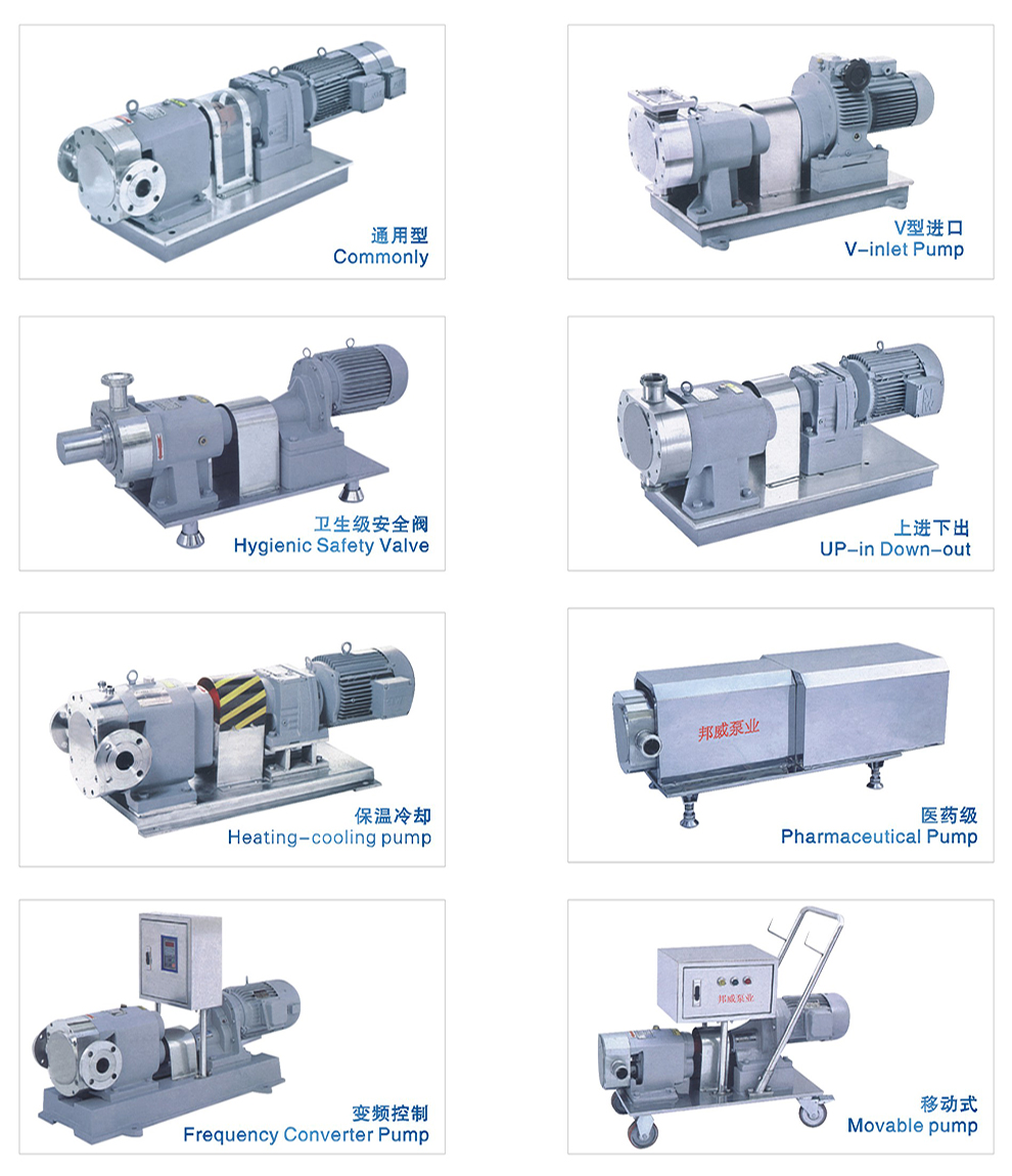 Positive displacement rotary lobe pump