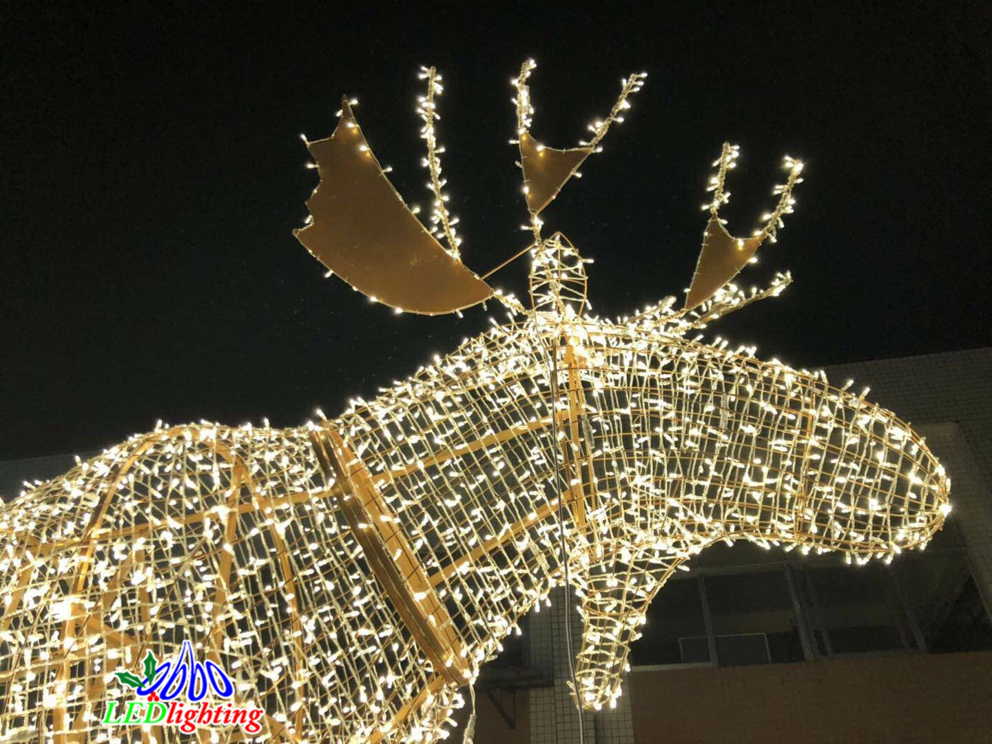 LED illuminated animals moose 