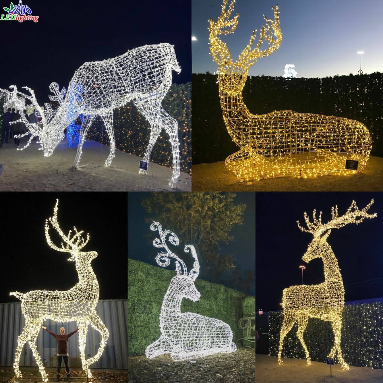 Christmas decoration reindeer Christmas decoration reindeer