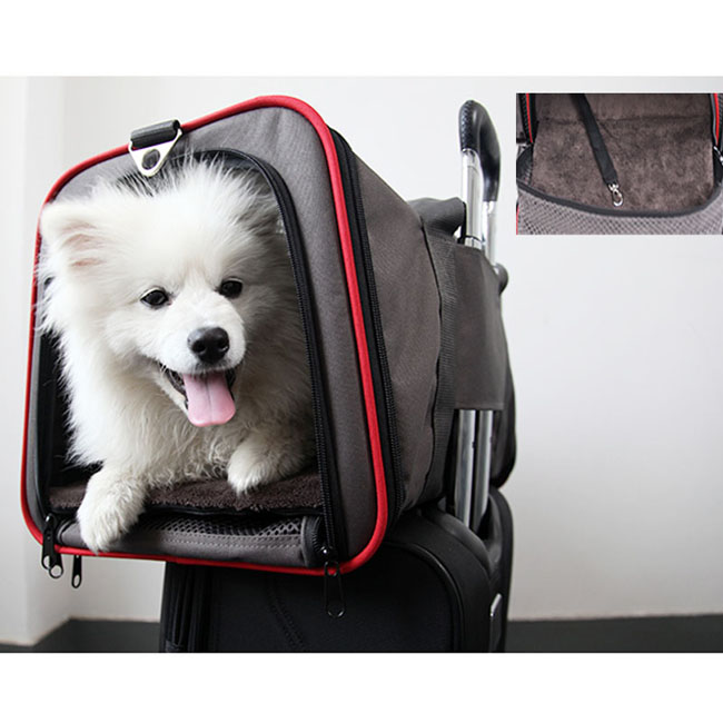 pet carrier for airplane pet carrier for airplane