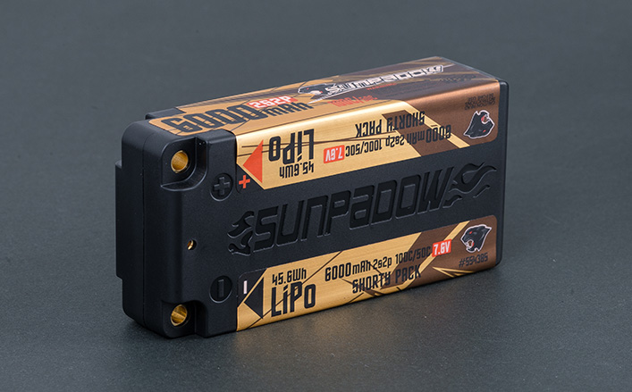 6000mAh 7.6V LiPo Battery