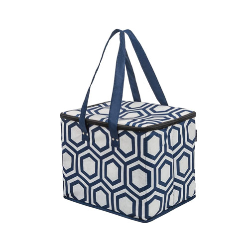 non woven cooler bag 