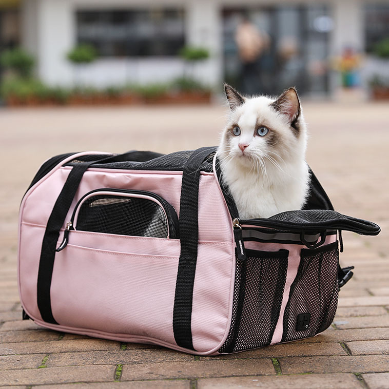 pet carriers for cats pet carriers for cats