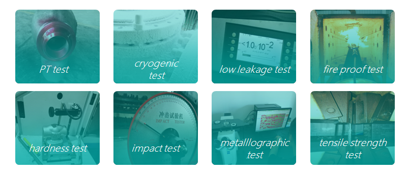 NDE Tests and Special Tests for Industrial Valve