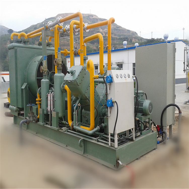 CNG standard station compressor