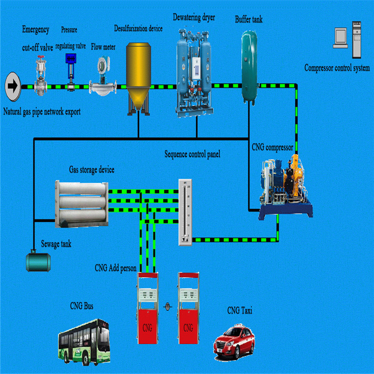 CNG standard station compressor