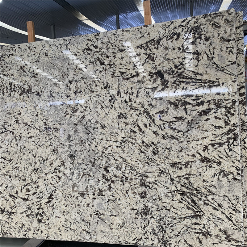 Snow Mountain Silver Fox Granite Snow Mountain Silver Fox Granite