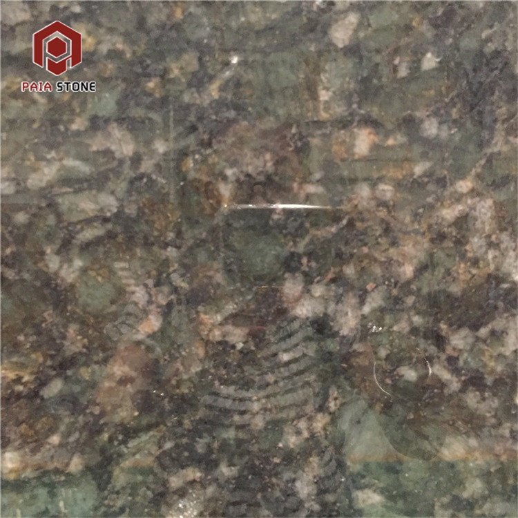  Import Butterfly Dark Green Granite 