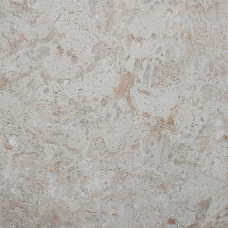 Golden butterfly beige marble Golden butterfly beige marble