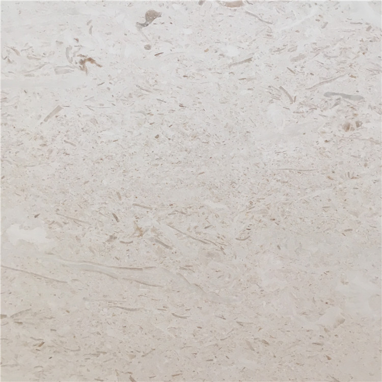 Moon Beige Limestone Moon Beige Limestone