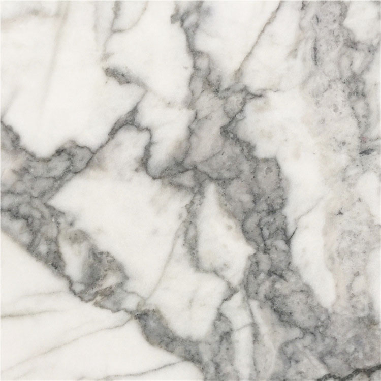 Venato White Bianco Carrara Marble Venato White Bianco Carrara Marble