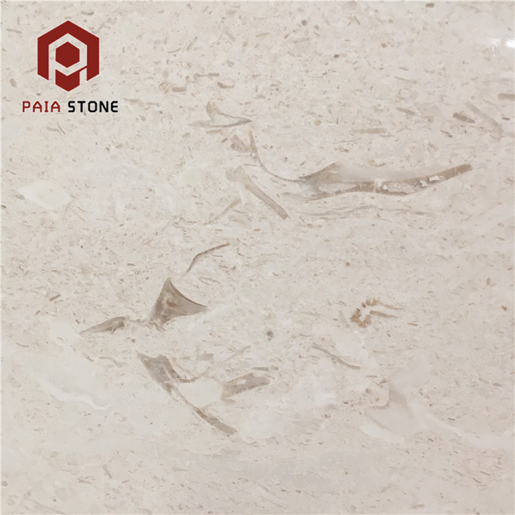Limestone dolomite slab Limestone dolomite slab
