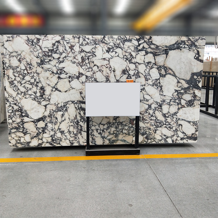 Calacatta Viola Marble Calacatta Viola Marble